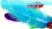 Learn Colors with Colorful Feathers - Childrens Educational Videos - Video for Kids