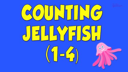 Counting Jellyfish