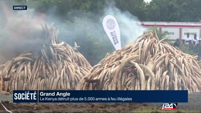 Grand Angle : ces pays qui luttent contre le trafic d'armes