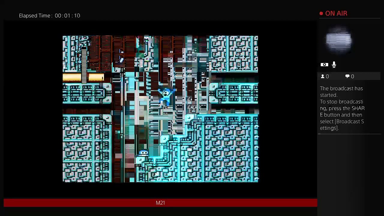 Megaman2 (29)
