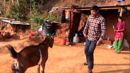 Crazy Man and Crazy Goat Fight