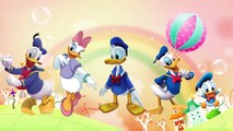 Donald Duck Finger Family Songs For Children Nursery Rhymes Mickey Mouse and Daisy Duck