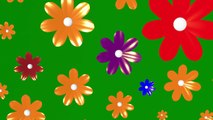 NEW! Learn Colors With 3D Colorful Flowers! Color Flowers For Kids and Baby!