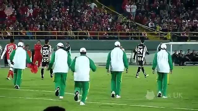 Funny Football Moments, Football Comedy ► Player and Animals on the Pitch