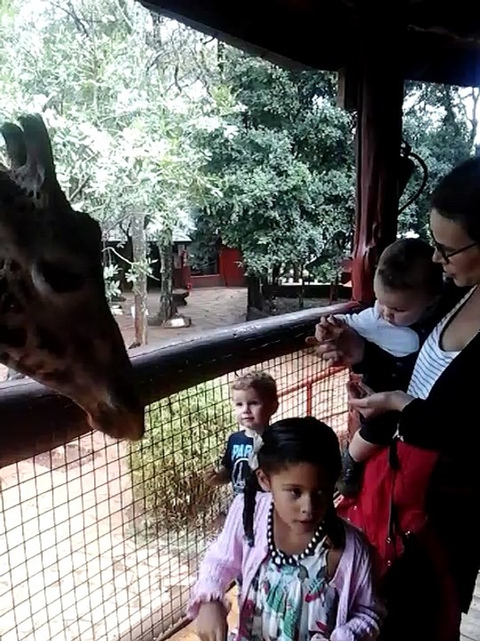Giraffe Center