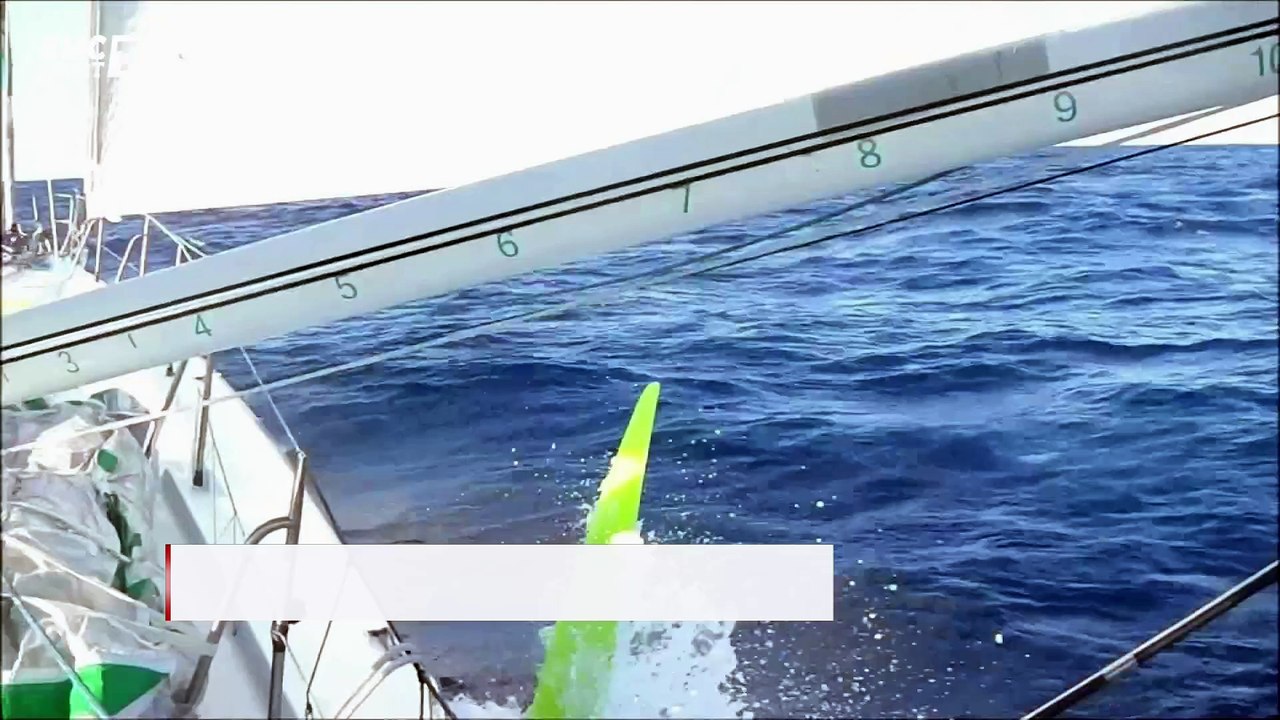 Vendée Globe - Les skippers donnent de leurs nouvelles après 21 jours de course