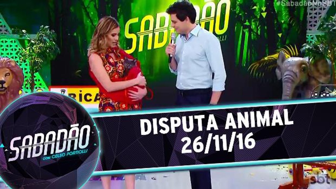 Disputa Animal - 26.11.16
