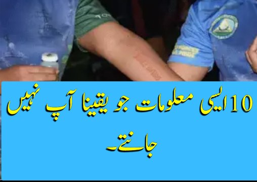 ایسی 10معلومات جو یقینا ابھی تک آپ نہیں جانتے