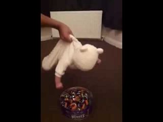 Funny Super Baby Action-Funny Baby Videos-Funny Videos