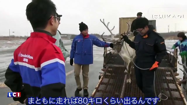 Insolite : découvrez le moyen de transport de Dominos Pizza pour Noël !