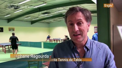 Reportage TVPI goelands 19_11_16