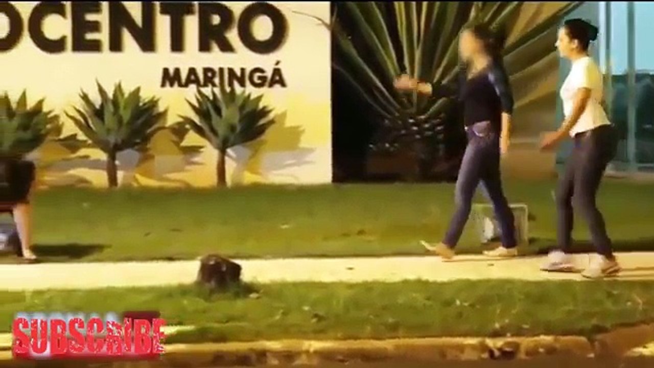 Best Funny_Videos_2016_Funny_Pranks_-_Whatsapp_Funny_Videos_Try_not_To_Laugh