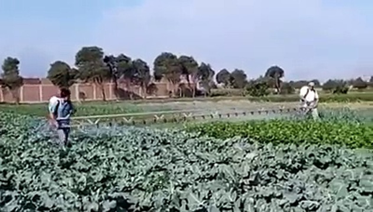 Manual Boom Sprayer - Impressive idea