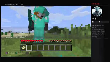 The Quest To Kill The Ender Dragon (8)