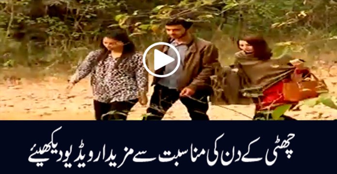 Rush on Hiking Around TRAIL in ROCKY MOUNTAIN