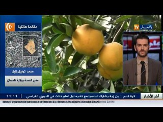 مدير الصحة لولاية تلمسان  البرتقال السام هرب من المغرب وهذا ما يجب فعله لتفاديه