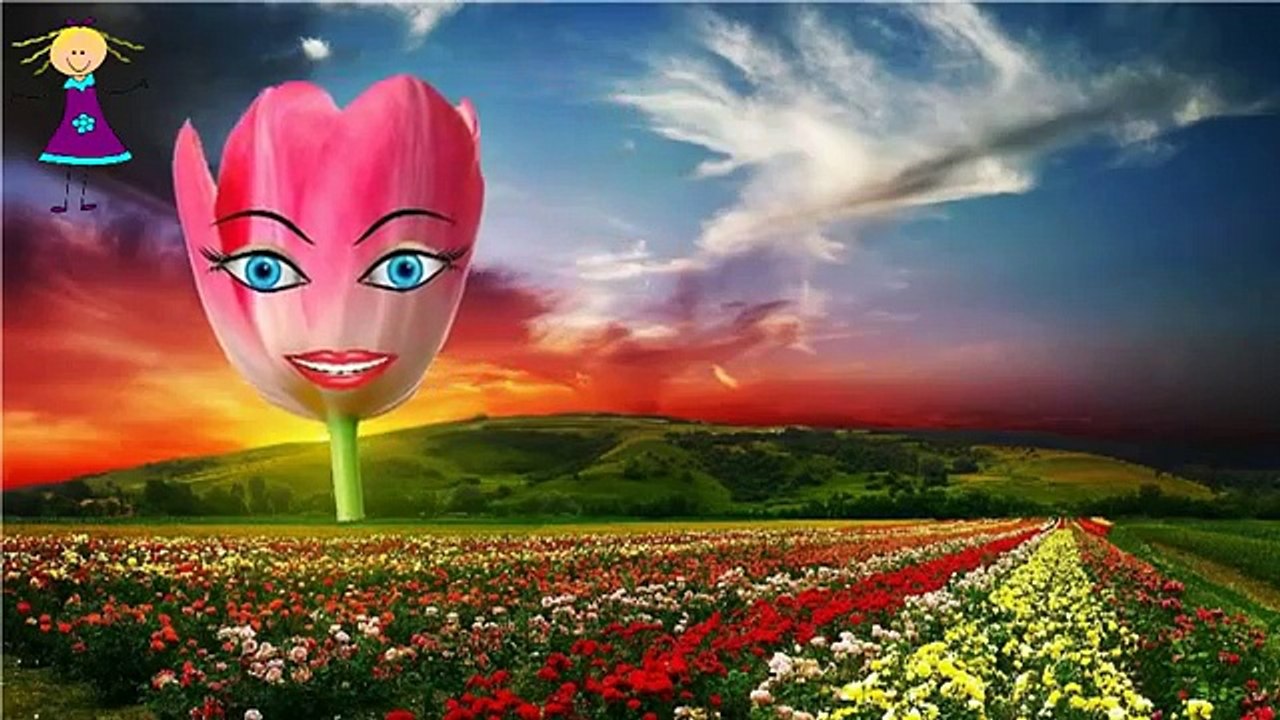 Finger Family Nursery Rhymes for Children TULIP Cartoon | 2D TULIP Finger Song for Children