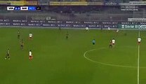 Verona vs Bari 1-0 Giampaolo Pazzini Goal  Serie A 27-11-2016