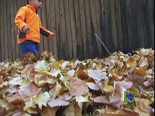 Signing Time! My Favorite Season