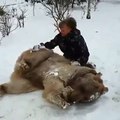 Une femme russe nous présente son ours de compagnie