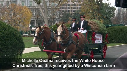 Michelle Welcomes White House Christmas Tree 1