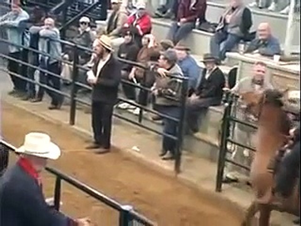 The Amish - A People of Preservation 2000