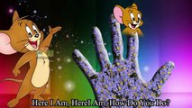 Finger Family Tom and Jerry || Cat Finger Family || Cartoon Nursery Rhymes