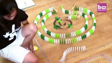 Domino Artist Builds Mesmerizing Structures