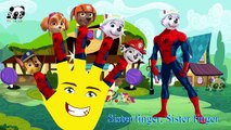 #Paw Patrol #Spider Man #Finger Family Songs #Nursery Rhymes Lyric & More Panda Kids