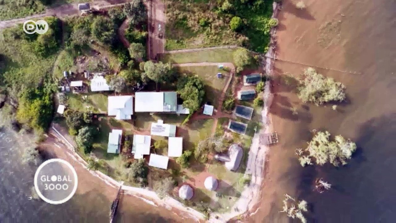 Ein neues Zuhause für Schimpansen | Global 3000