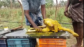 Cooking Dry Red Chilli Country Chicken Gravy in My Village - Spicy Chicken - Food Money Food - YouTube