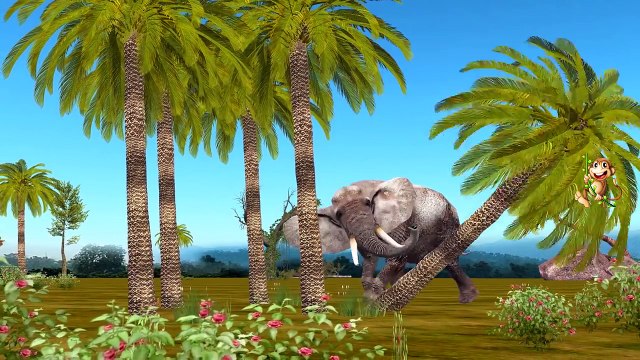 Colors Animals Finger Family Collection | Colors Dinosaurs Elephant Tiger Lion Finger Family Rhymes