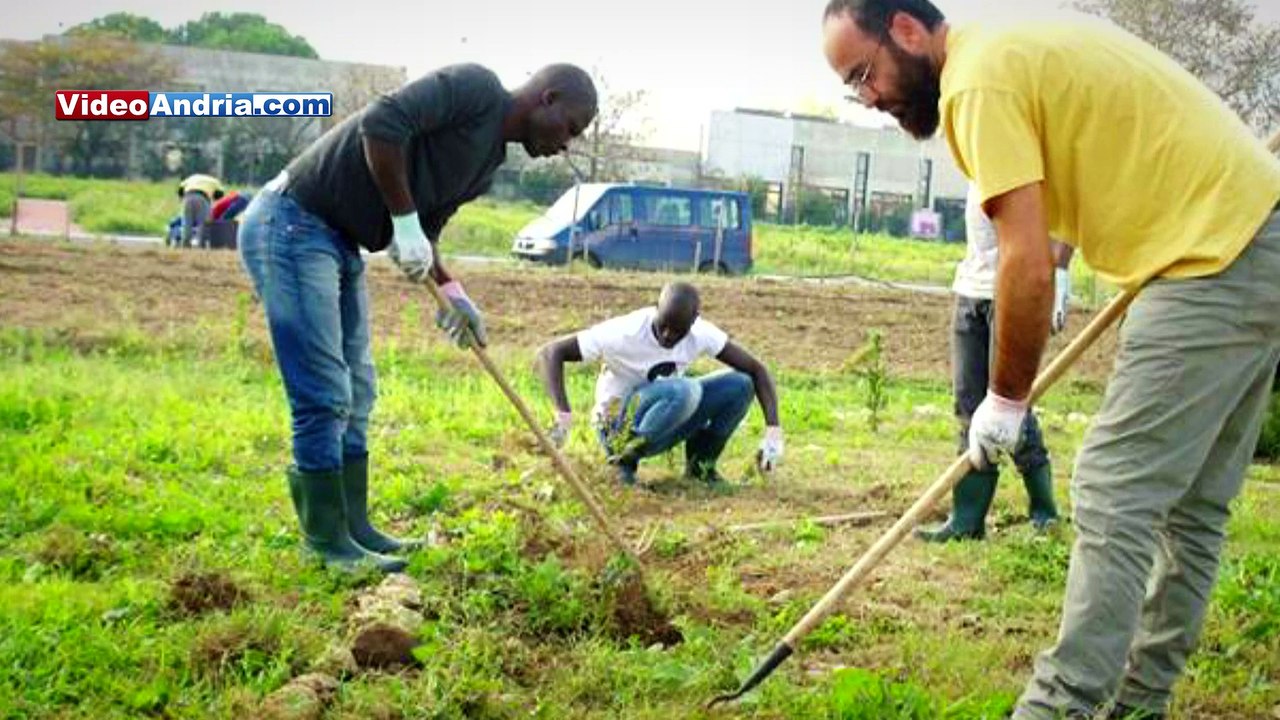 Legambiente, cittadini andriesi e migranti piantano alberi presso l'orto urbano di San Valentino