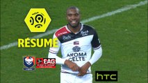SM Caen - EA Guingamp (1-1)  - Résumé - (SMC-EAG) / 2016-17