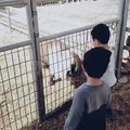 Kid Act Like Goat Very Funny Video Hahahahaha