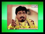 Adhi Raati Milli Jatt Nu | Surinder Shinda | Amli Da Tori Fulka | Popular Punjabi Songs