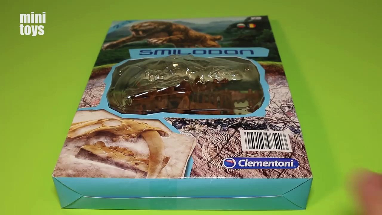 Dino Toys Smilodon Dinosaur Skeleton Fossils Skull Molding