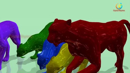 Kids Learning Colors With Gorilla Lion Tiger Bear Cartoons For Children | Color Animation Movie