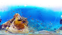 Scuba Diving Short Film in 360° Green Island, Taiwan ( 綠島, 台灣) 4K Video Quality