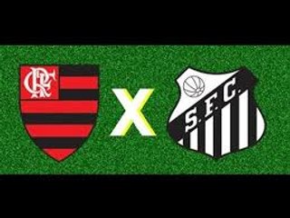 Flamengo 2-0 Santos - All goals HD 27.11.2016