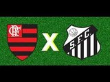 Flamengo 2-0 Santos - All goals HD 27.11.2016
