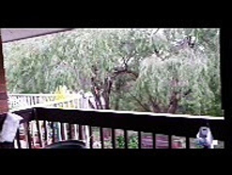 20150906_1639 Both CALLING - HEY U -we are hungry