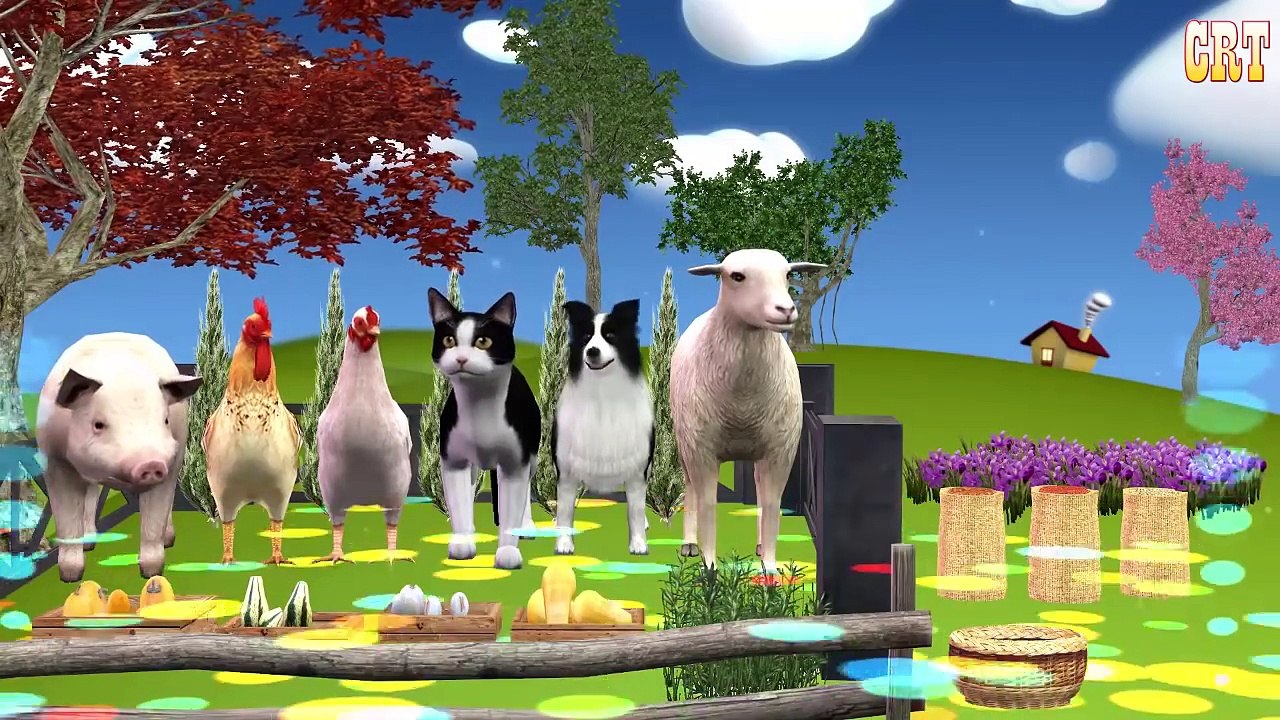 All Animals Colourfull Song || Learning Children Rhymes Tv For Cartoon Nursery Collection