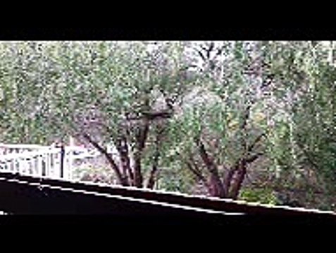 20160802 Fly in on time