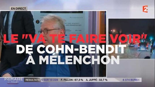 Le Va te faire voir ! de Cohn-Bendit à Mélenchon