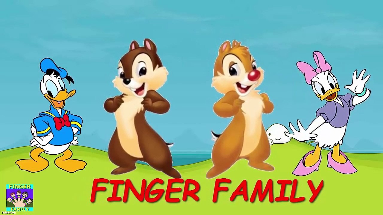 Chip And Dale Finger Family Song | Donald Duck And Daisy Dady Finger
