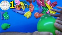 3 Minutes on How Many Balloons we Whack ? Balloon Show