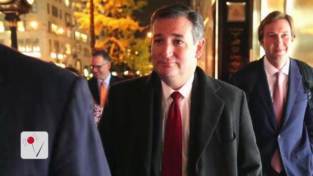 Ted Cruz Predicts 'Pitchforks and Torches' If GOP Doesn't 'Deliver'
