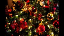 Vánoční koledy - Štědrej večer nastal, Narodil se Kristus Pán, Nesem Vám noviny, Tichá noc...