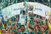 Palmeiras faz linda festa no Allianz Parque e levanta taça de campeão brasileiro